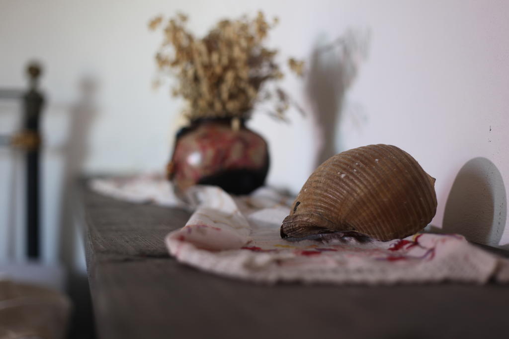 Mahzen Hotel Ayvalı Szoba fotó